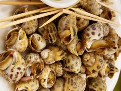 花螺-龙溪海鲜酒家(溪涌店)