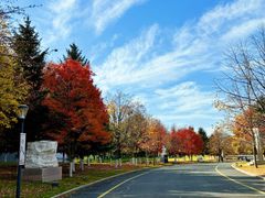 -长春世界雕塑园冰雪艺术天地