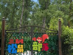 -合肥滨湖国家森林公园