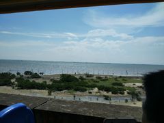 -北海金海湾红树林生态旅游区