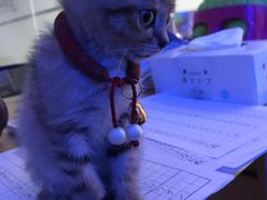 -语朵教育·日韩德法留学(曹杨校区)