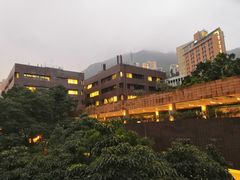 -香港大学