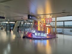 -合肥新桥国际机场-航站楼