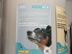 -瑞鹏宠物医院·骨科·猫科·内科(第一中心)