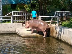-西安秦岭野生动物园