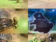 -台州海洋世界