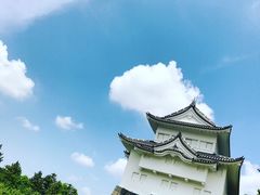 -名古屋城
