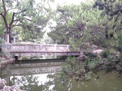 -叶家花园