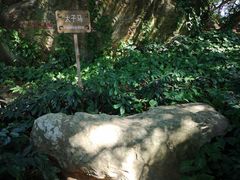-宋井风景区