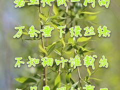 -桂满陇-十里风荷(合生汇店)