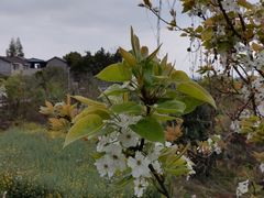 -老君山