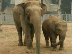 -石家庄市动物园