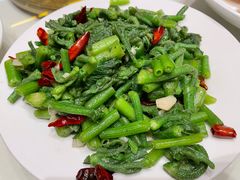 炒南瓜尖-广益饭店·云南菜·传统滇菜(翠湖北门书屋店)