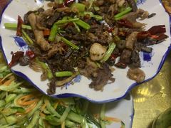 -广发草原蒙古部落