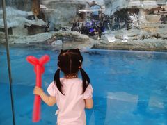 -帝企鹅自助餐厅•儿童岛•真企鹅(长隆企鹅酒店)