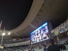 -南京奥林匹克体育中心-体育馆