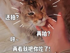 -Sweet cat·星愿猫咖(国贸大厦店)