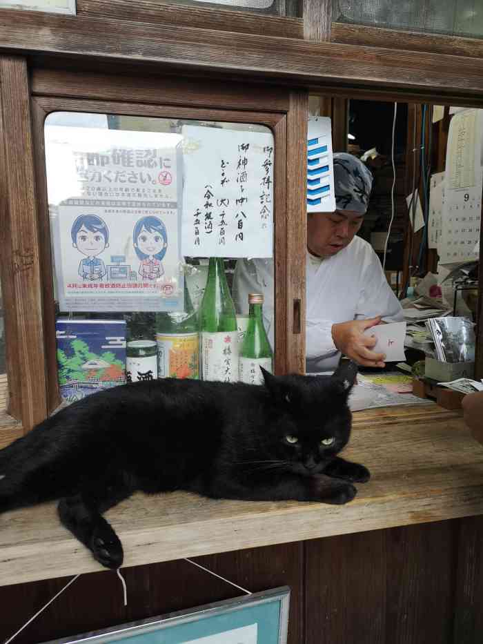 梅宫大社-"6/下旬的季节并没有什么紫阳花,门口稀稀."-大众点评移动版