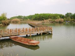 -桤木河湿地公园