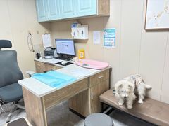 -半岛宠物医院24小时·内窥镜·牙科·碎石中心(府城大道店)