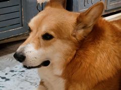 -小时光咖啡馆(北锣鼓巷店)
