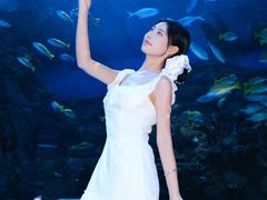 -海合安成都极地海洋公园