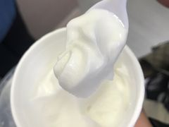 -洪馨椰子