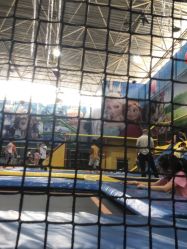 -爱丽丝奇幻乐园