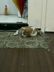 -HANYI韩艺形象店
