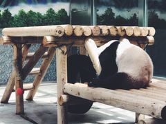 -西安秦岭野生动物园