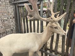 -白鹿原影视城