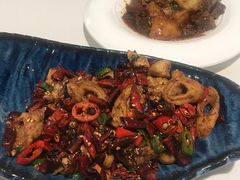 -Colourful Yunnan Hawthorn 彩云南 孔雀