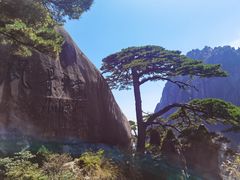 -黄山风景区