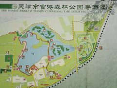 -官港森林公园