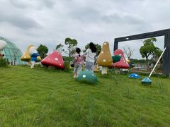 -上海都市菜园
