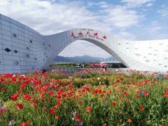 -新疆国际大巴扎