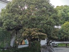-日出青木·杭帮菜名店