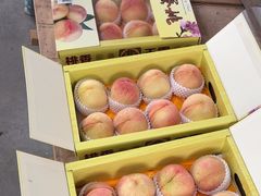 -南汇水蜜桃采摘(大团店)