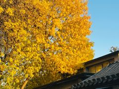 -牛街清真满恒記(平安里西大街店)