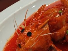-丁老爷子苏香圆
