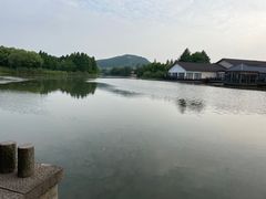 -长广溪湿地公园