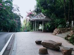 -火炉山森林公园