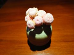 -鹿萤季·营地小馆(皇后公园店)