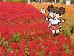 -厦门园林博览苑