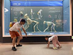 -国家自然博物馆