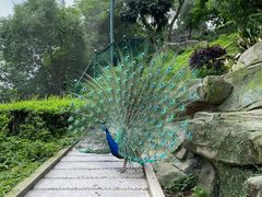 -温州乐园