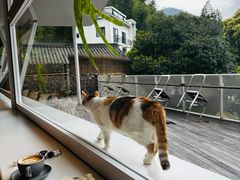 -原乡芦茨咖啡