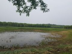 -东郊湿地公园
