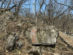 -南京老山国家森林公园