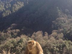 -海螺沟风景区